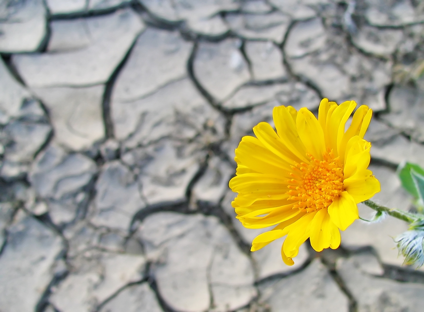PRÄKOM-Seminar: Förderung von Resilienz bei Jugendlichen